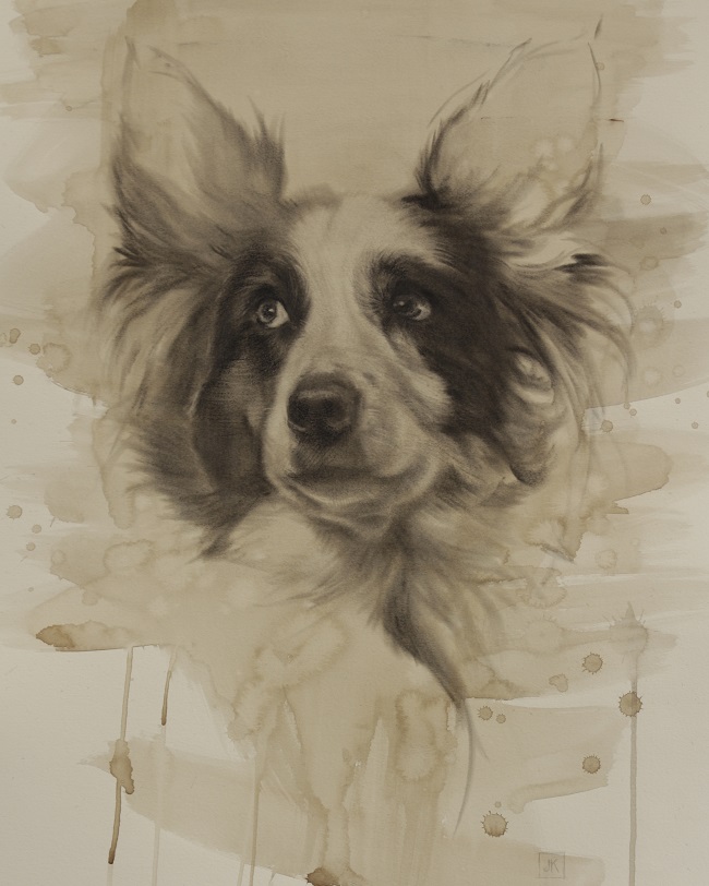 2016-portret tekening hond - dogportrait - jennifer koning - miss Woobie in charcoal
