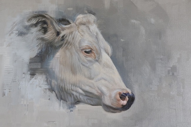 koeien schilderij - portret van een witte koeienkop olieverf ⋆ jennifer koning