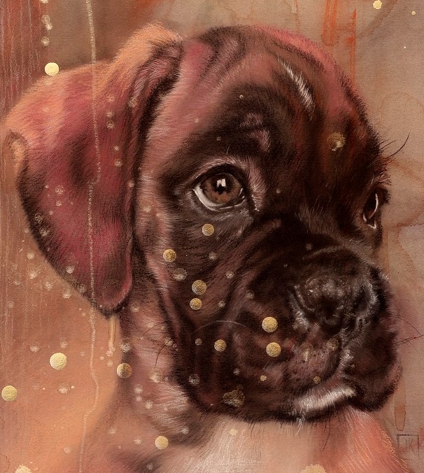 portrettekening boxer puppy - hondenportret tekening hond - detail - jennifer koning