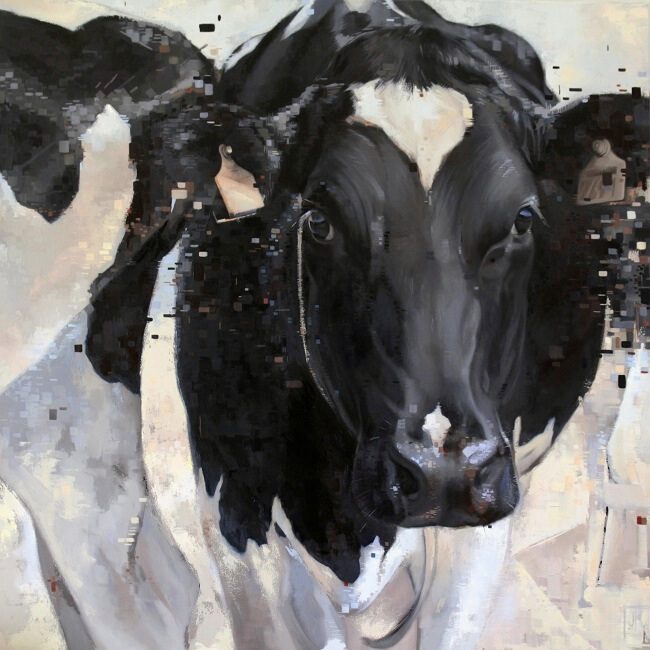 olieverf schilderij zwartbonte koe door jennifer koning (1)