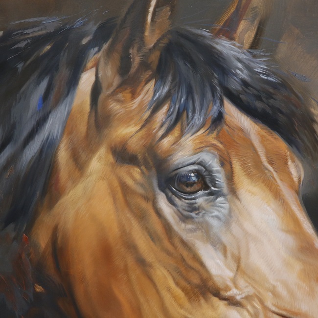 portret paard in in olieverf in uitvoering door jennifer koning detail oog