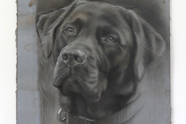 labrador portret in houtskool en mixed media - detail