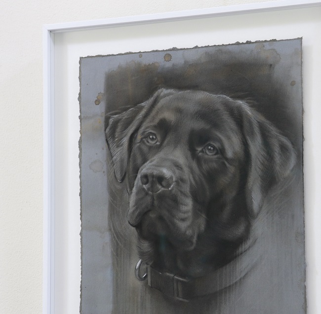 labrador portret in houtskool en mixed media -ingelijst detail