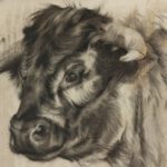 engelse longhorn portret van koe Quarin in mixed media - detail